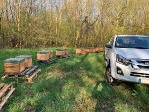 Exploitation apicole dans les Yvelines